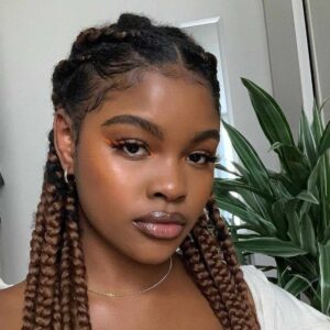 15 Box Braid Hairstyle Ideas to Switch Up Your Look