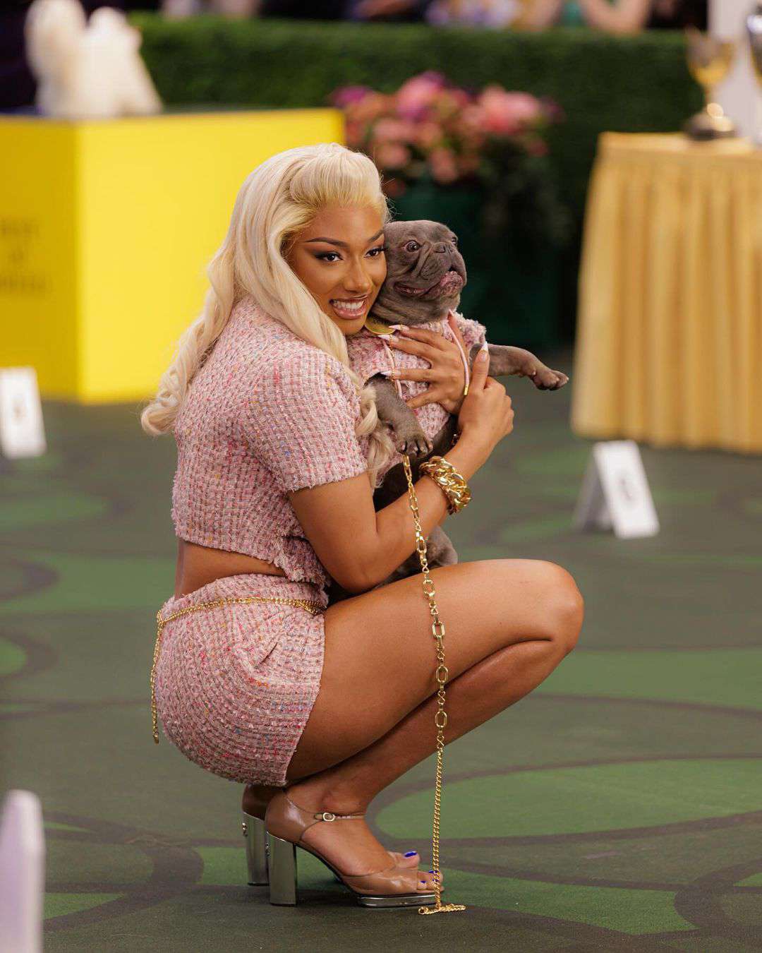 Megan Thee Stallion and her dog. 